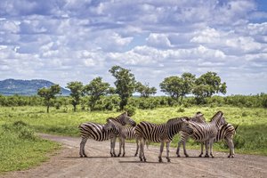 Južna Afrika - 7556.jpg