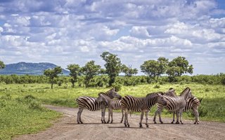 Južna Afrika - 7556.jpg