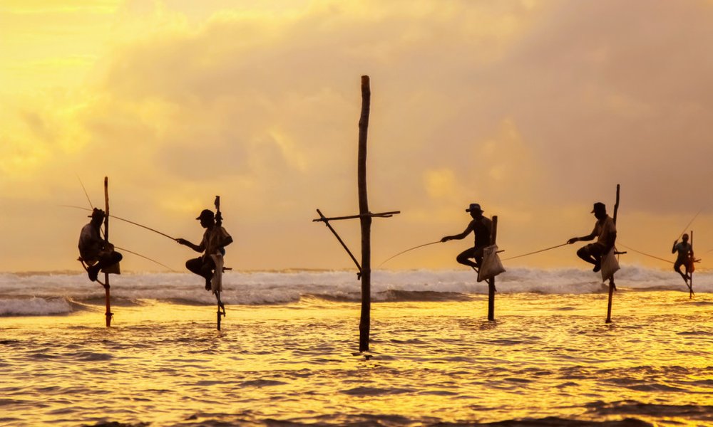 Šri Lanka in Maldivi - 7578.jpg