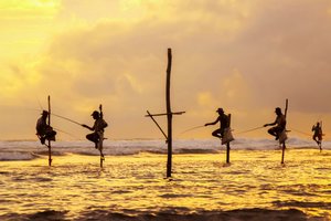 Šri Lanka in Maldivi - 7578.jpg