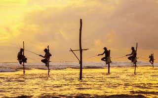 Šri Lanka in Maldivi - 7578.jpg