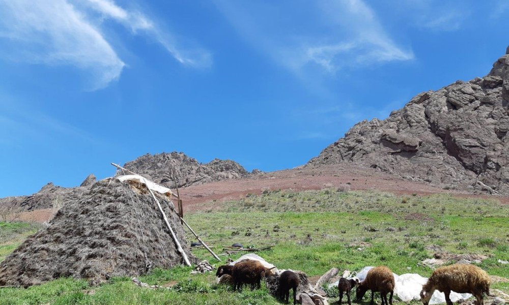 Iran, perzijska avantura - 7638.jpg