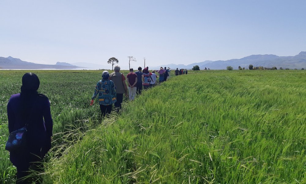 Iran Xpress - 7658.jpg