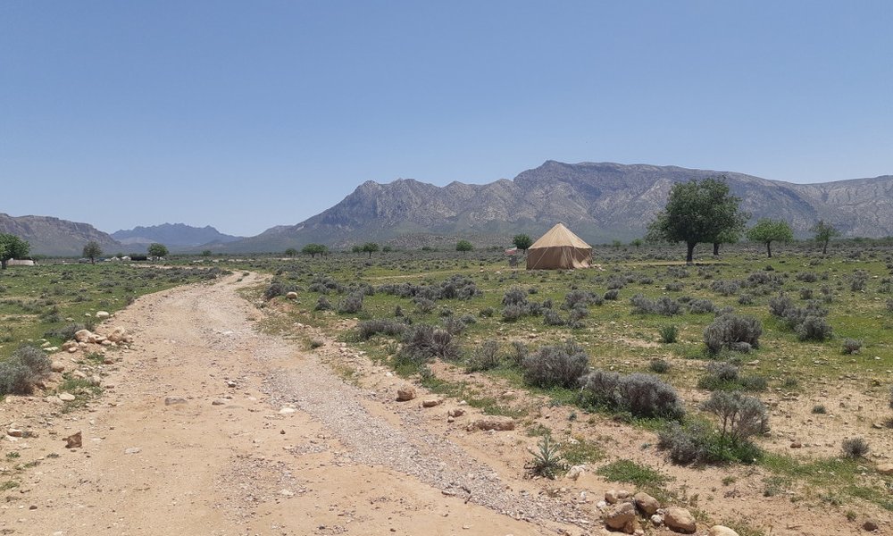 Iran Xpress - 7659.jpg