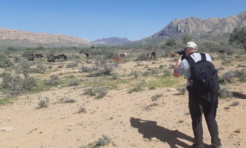 Iran Xpress - 7660.jpg