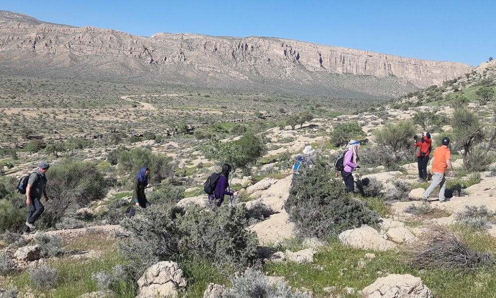 Iran Xpress - 7661.jpg