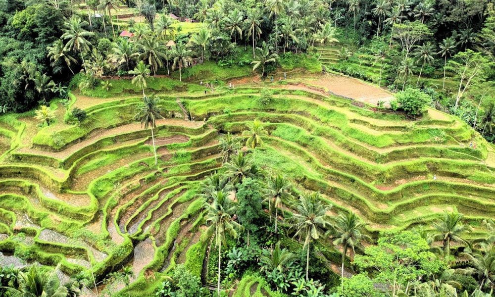 Indonezija: Joga - Yoganezija - 7697.jpg