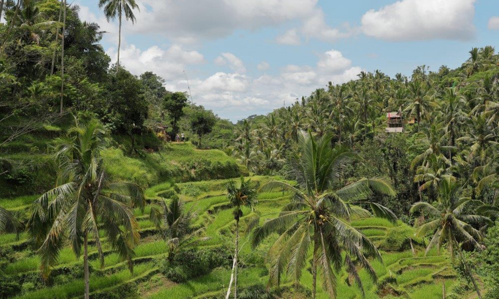 Indonezija: Joga - Yoganezija - 7706.jpg