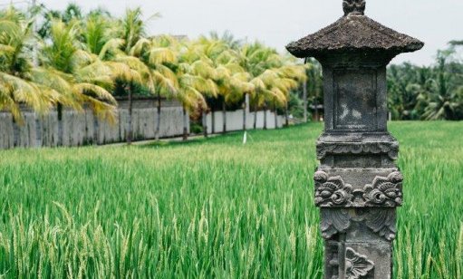 Indonezija: Joga - Yoganezija - 7707.jpg