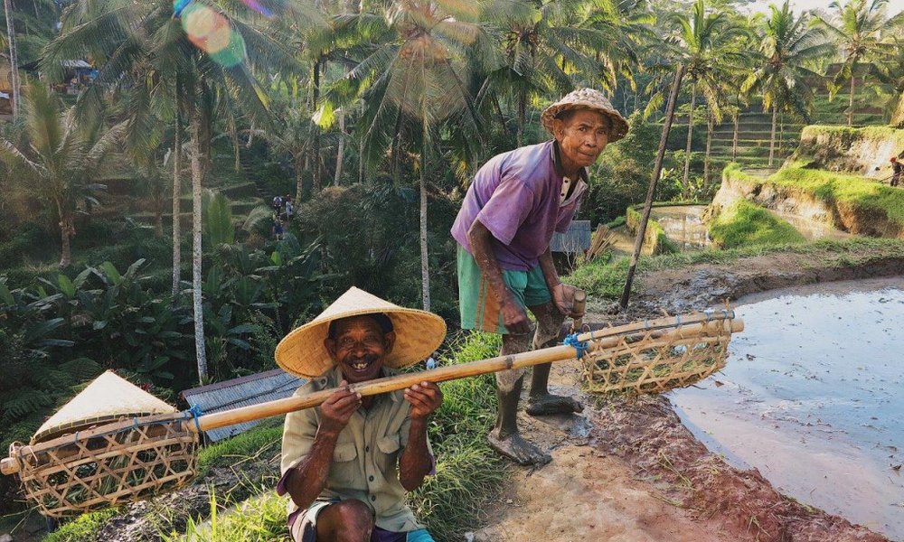 Indonezija: Joga - Yoganezija - 7709.jpg