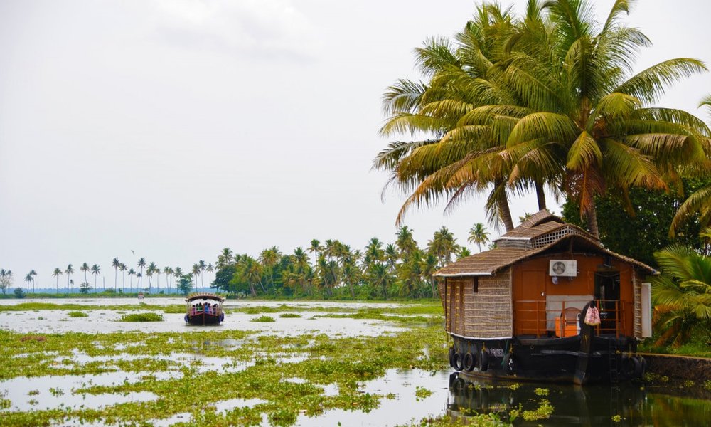 Indija: joga, ajurveda in ašrami - 7781.jpg