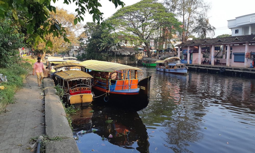 Indija: joga, ajurveda in ašrami - 7782.jpg