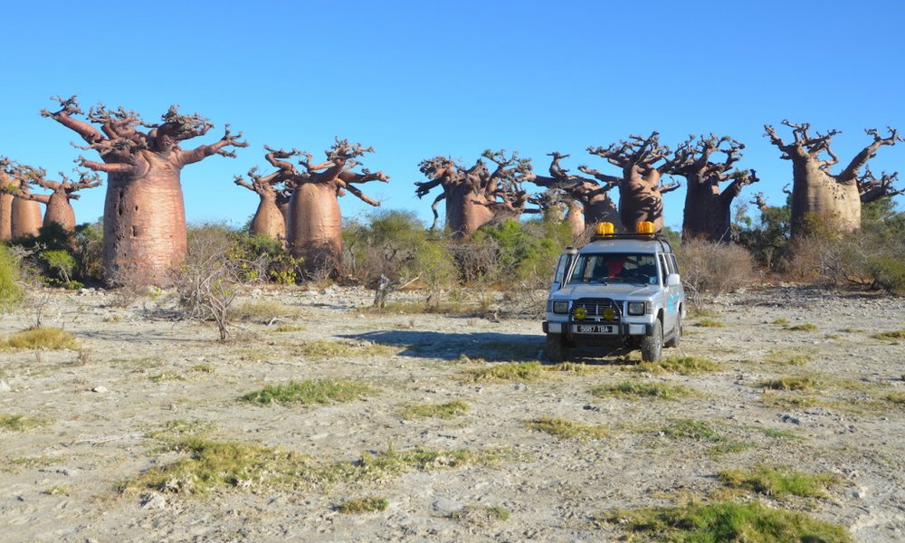 Madagaskar - 7804.JPG