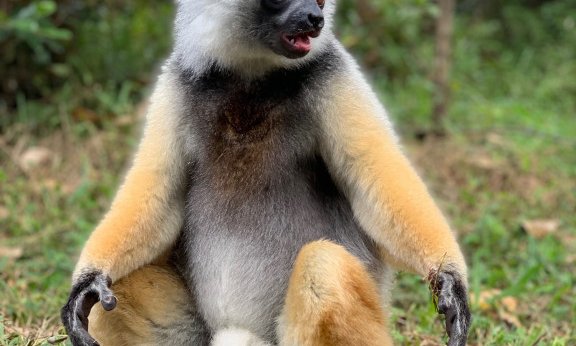 Madagaskar - 7805.jpeg