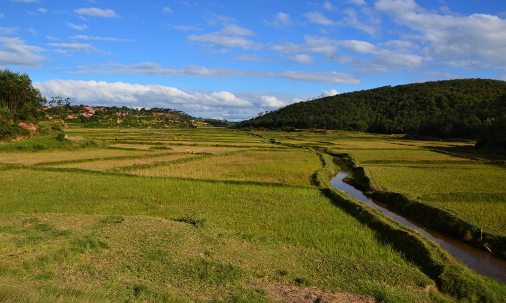 Madagaskar - 7808.jpg