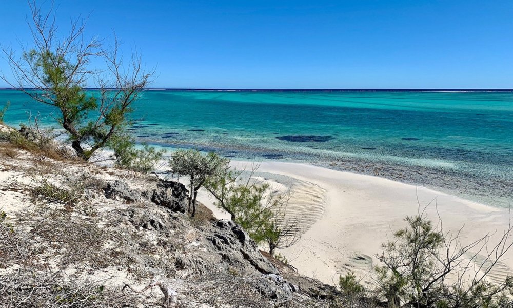 Madagaskar - 7812.jpeg