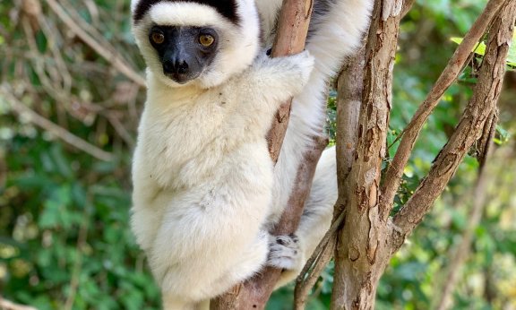 Madagaskar - 7815.jpeg