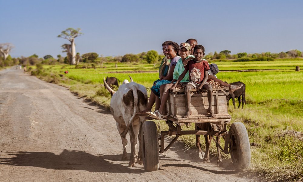 Madagaskar - 7816.jpg