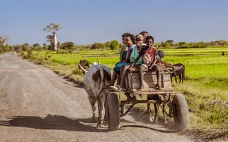 Madagaskar - 7816.jpg