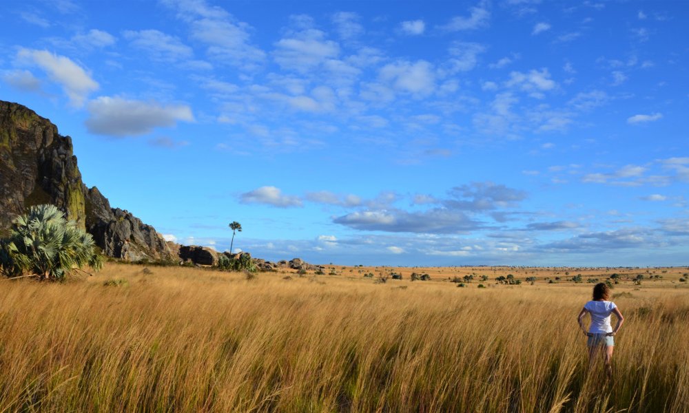 Madagaskar - 7821.jpg