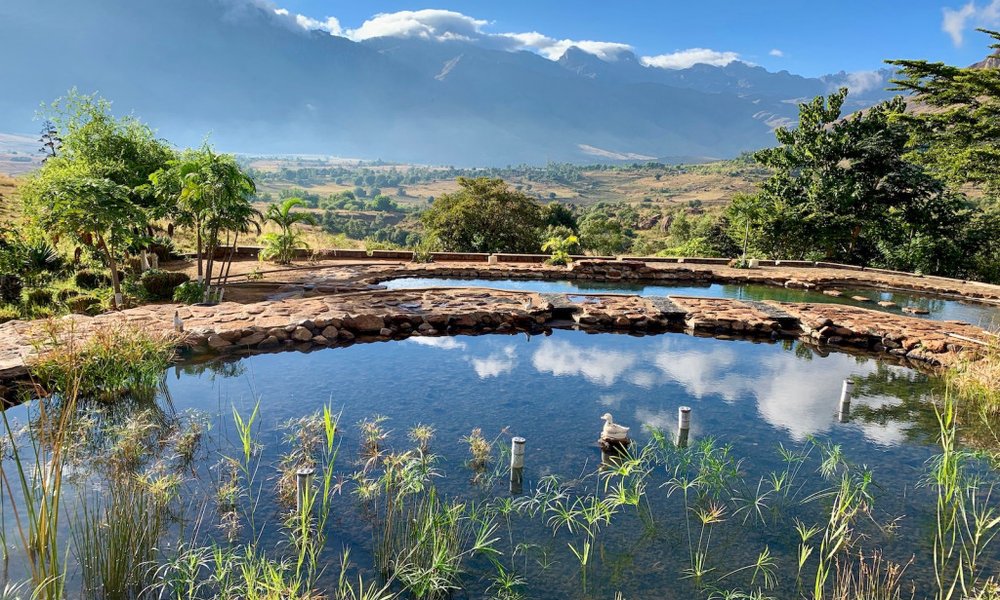 Madagaskar - 7822.jpeg