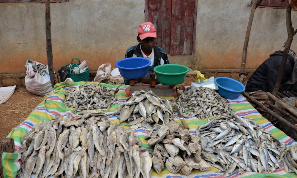 Madagaskar - 7825.jpg