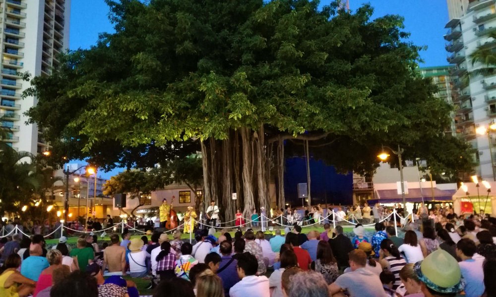 Mogočna drevesa banjan krasijo Honolulu 