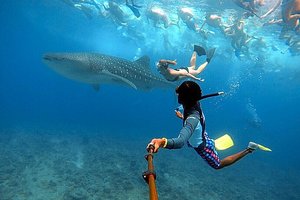 Maldivi otok Rasdhoo - 7860.JPG