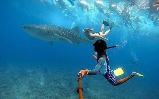 Maldivi otok Rasdhoo - 7860.JPG