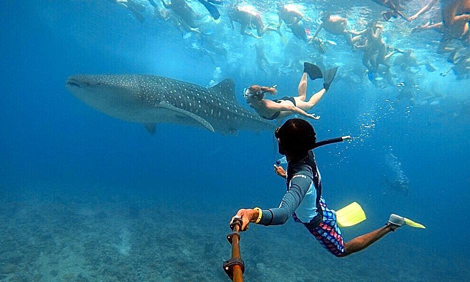 Maldivi otok Rasdhoo - 7860.JPG