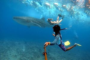 Maldivi otok Rasdhoo - 7860.JPG