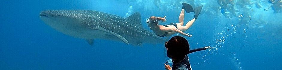 Maldivi, za mlade, otok Rasdhoo