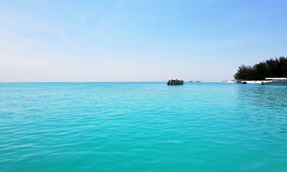 Borneo (Malezija) - 7868.jpg