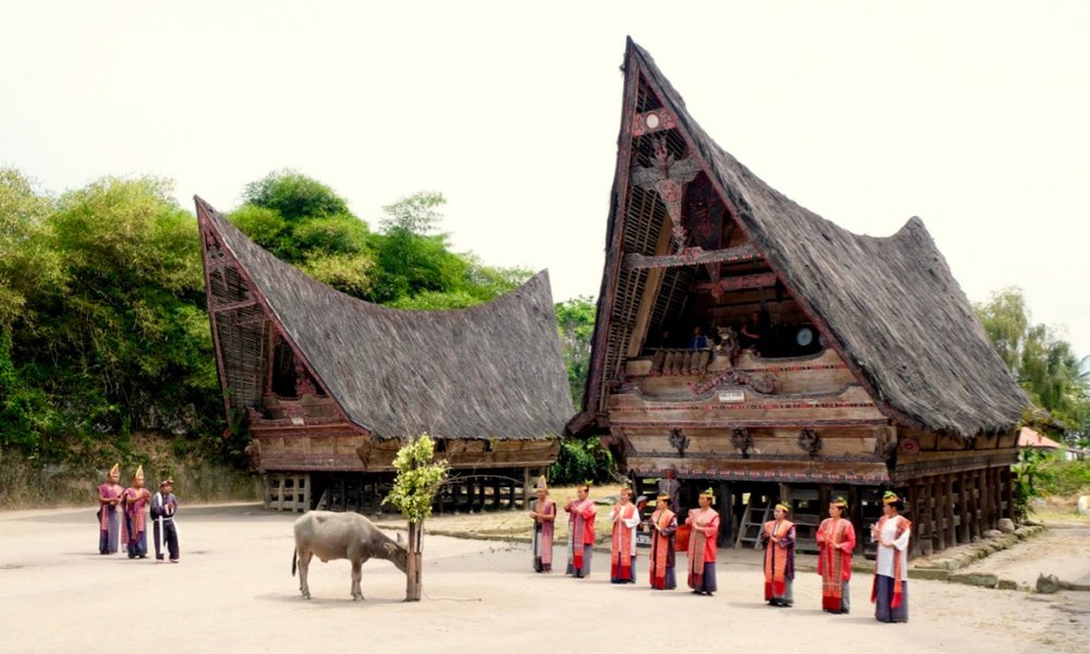 Sumatra z orangutani (Indonezija) - 7926.jpg