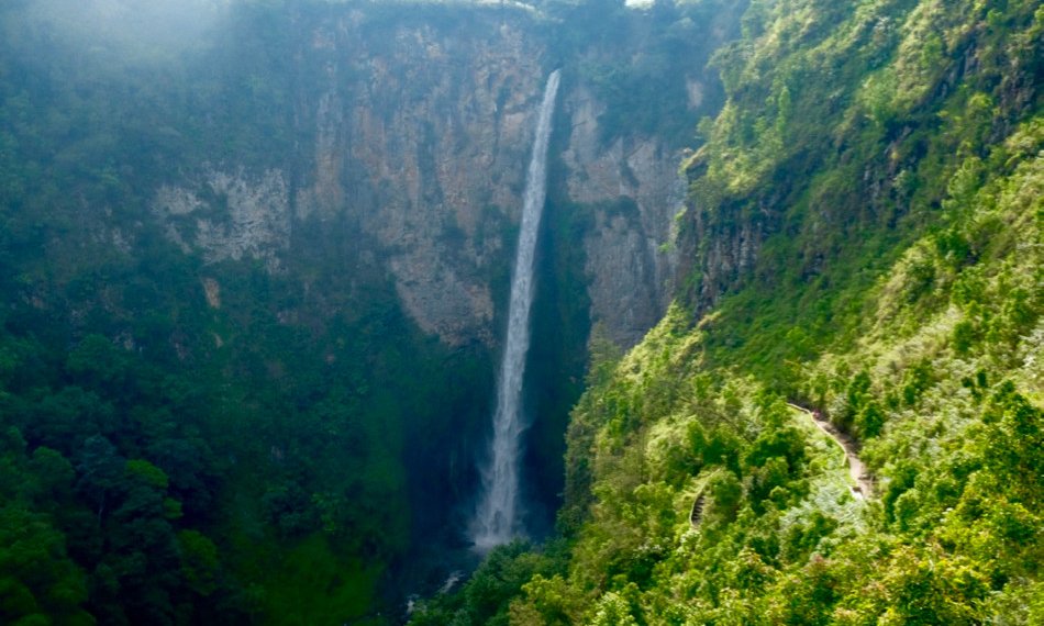 Sumatra z orangutani (Indonezija) - 7929.jpg