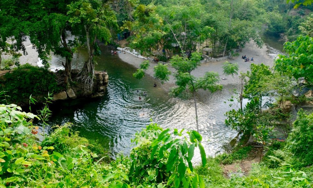 Sumatra z orangutani (Indonezija) - 7931.jpg