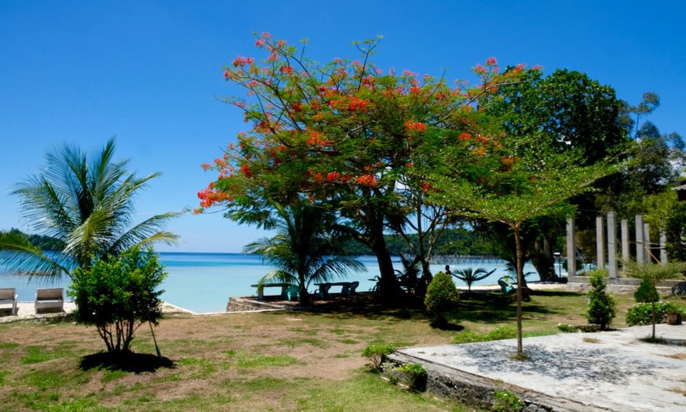 Sumatra z orangutani (Indonezija) - 7934.jpg