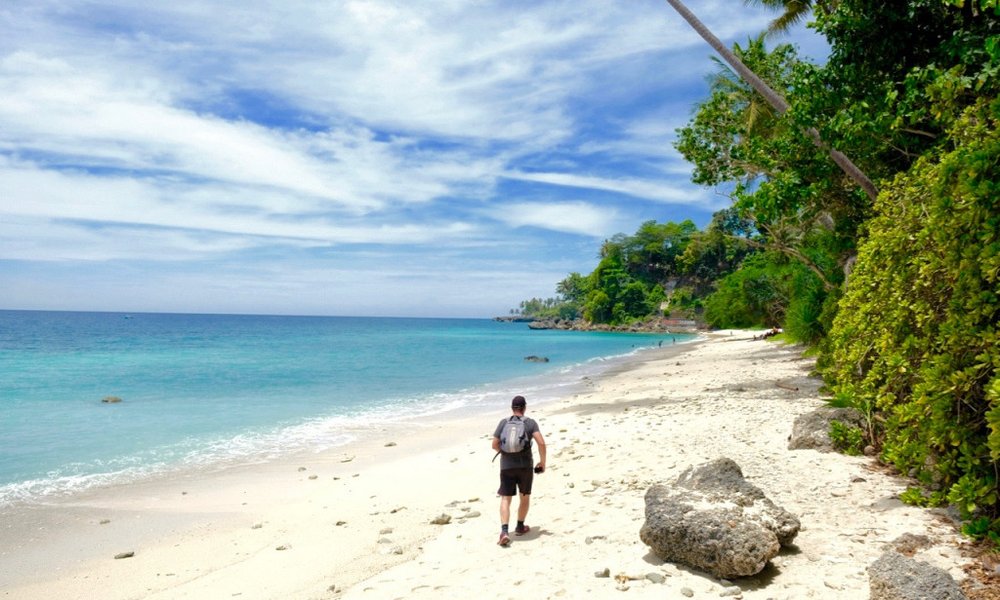 Sumatra z orangutani (Indonezija) - 7937.jpg