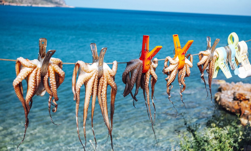 Kreta, Grčija, za družine - 7988.jpg