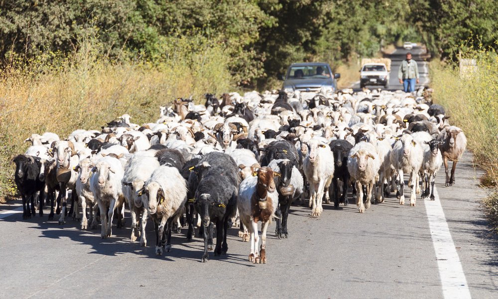 Kreta, Grčija, za družine - 7997.jpg