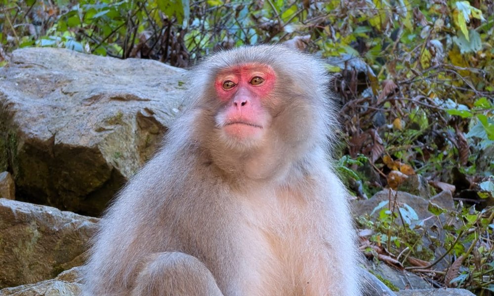 7e997da6-a813-4d9c-b315-7befccba8130