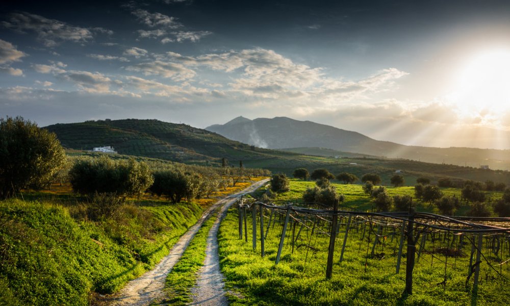 Kreta, Grčija, za družine - 8006.jpg