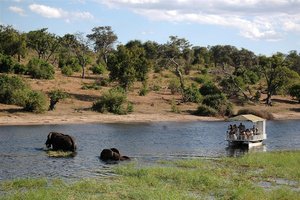 Filmska Afrika (Namibija, Bocvana, Zimbabve) ter Ladak in Kašmir - 8021.jpg