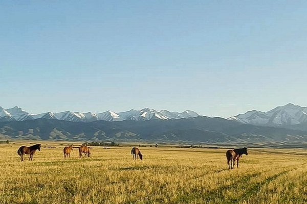 Sovjetistan (Kirgizija, Tadžikistan, Kazahstan) - 8120.jpg