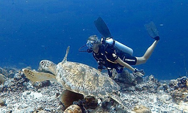 Maldivi potapljanje, otok Rasdhoo - 8223.jpg