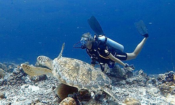 Maldivi potapljanje, otok Rasdhoo - 8223.jpg