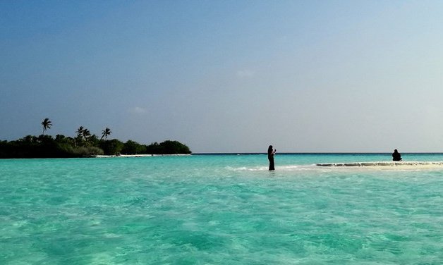 Maldivi potapljanje, otok Rasdhoo - 8226.jpg