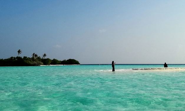 Maldivi potapljanje, otok Rasdhoo - 8226.jpg