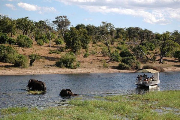 Filmska Afrika in Centralna Amerika - 8261.jpg