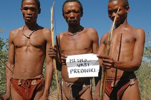 Filmska Afrika in Centralna Amerika - 8263.jpg